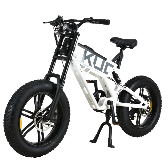 750W Off Road Electric Bike