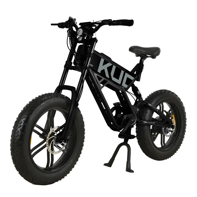 Aluminum Adult Electric Bike