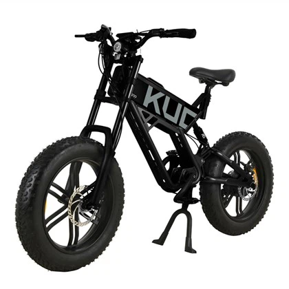 Rower elektryczny dla dorosłych aluminiowy